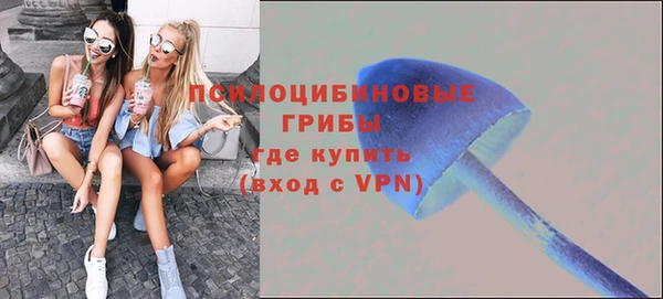 мяу мяу мука Балахна