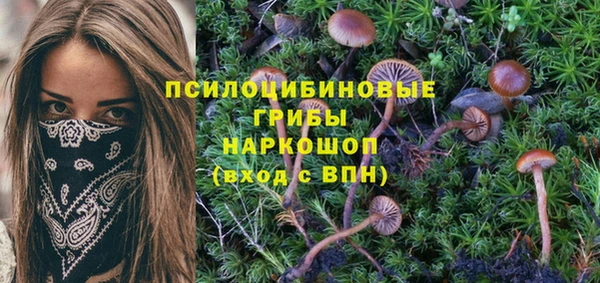 Альфа ПВП Баксан
