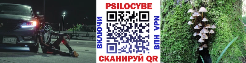 Псилоцибиновые грибы GOLDEN TEACHER  Ленинск 